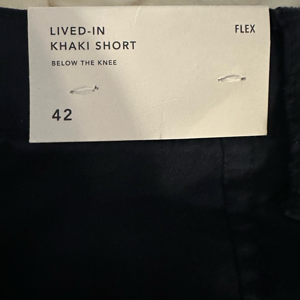 American Eagle Lived in Shorts flex